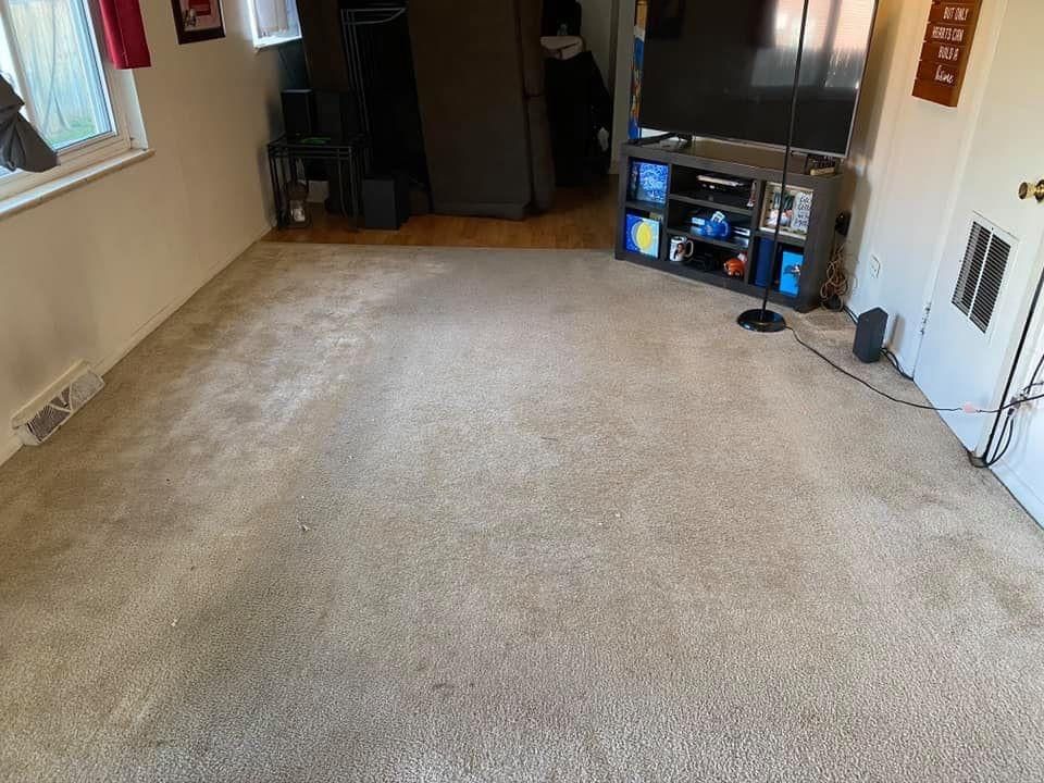 Before professional steam carpet cleaning service.