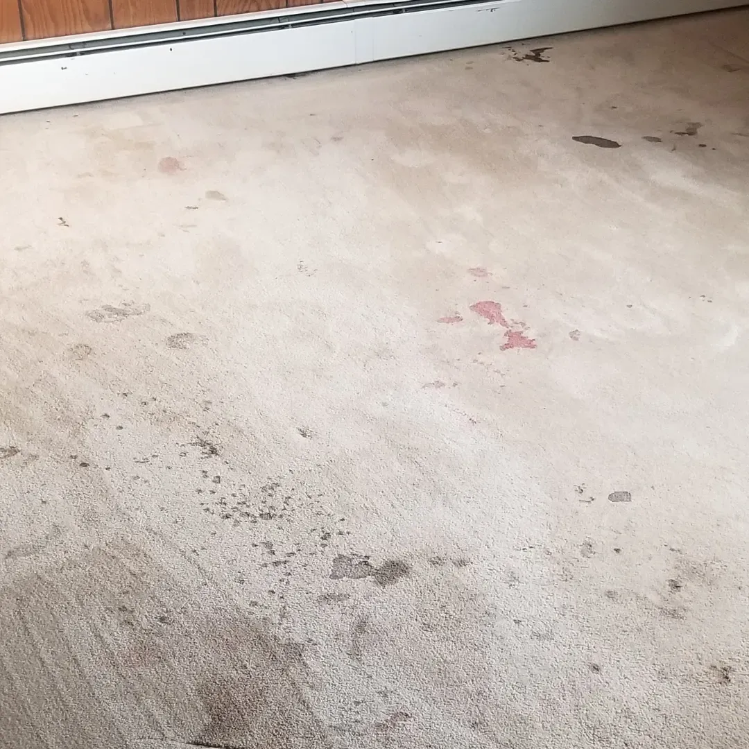Dirt stain removal and carpet cleaning service in Columbus, Ohio.