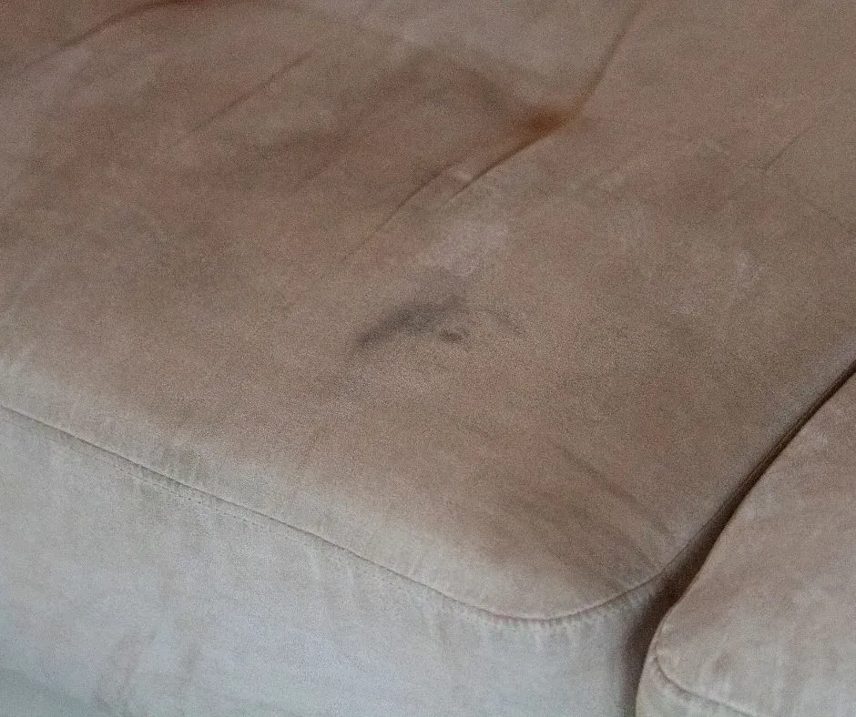 Dirt and traffic stain on bedroom entrance carpet getting cleaned.