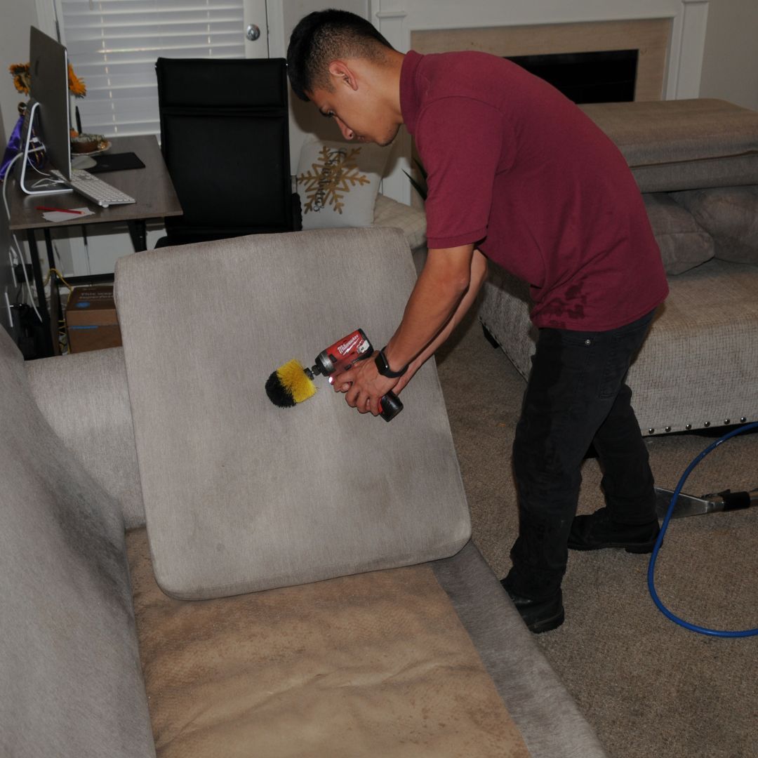 Professional furniture upholstery cleaning technician agitating stains on sofa using the carpet shampooing method.