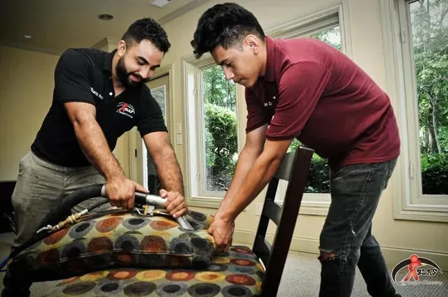 Paint stain removal and steam carpet cleaning service.