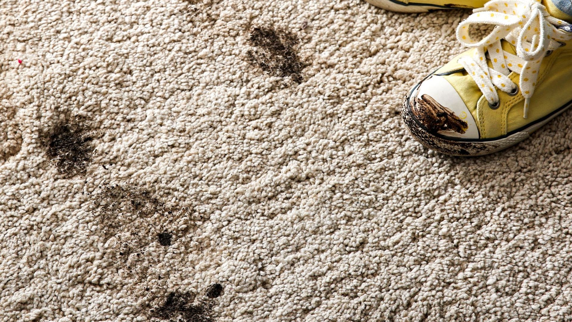 Blas Carpet® | Carpet Cleaning Company