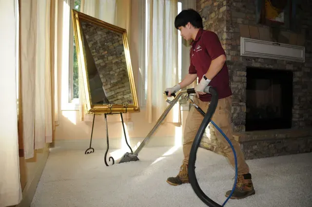 Pet stain removal and steam carpet cleaning service.