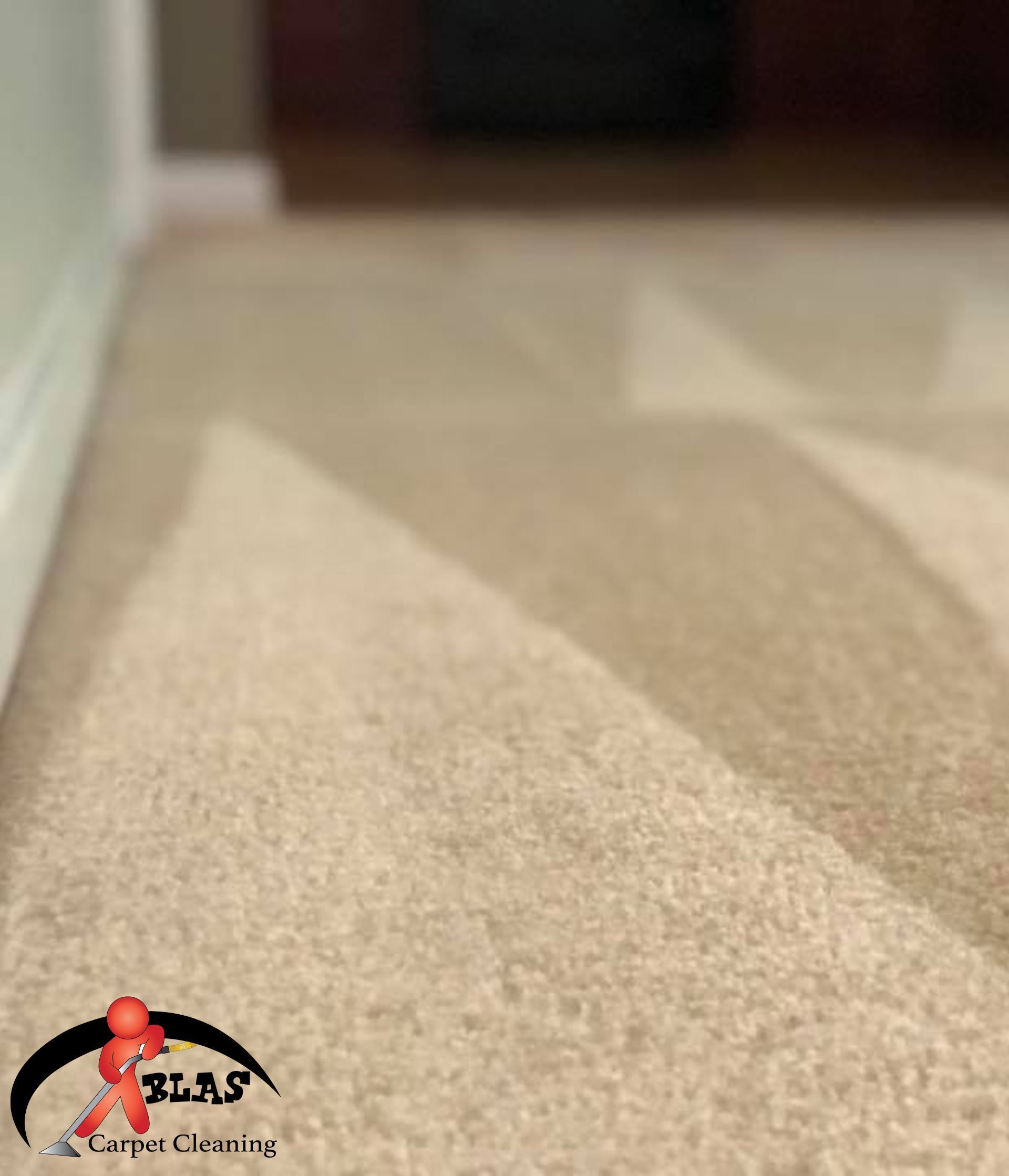 Result of carpet getting steam cleaned by professional company in Atlanta, Georgia..