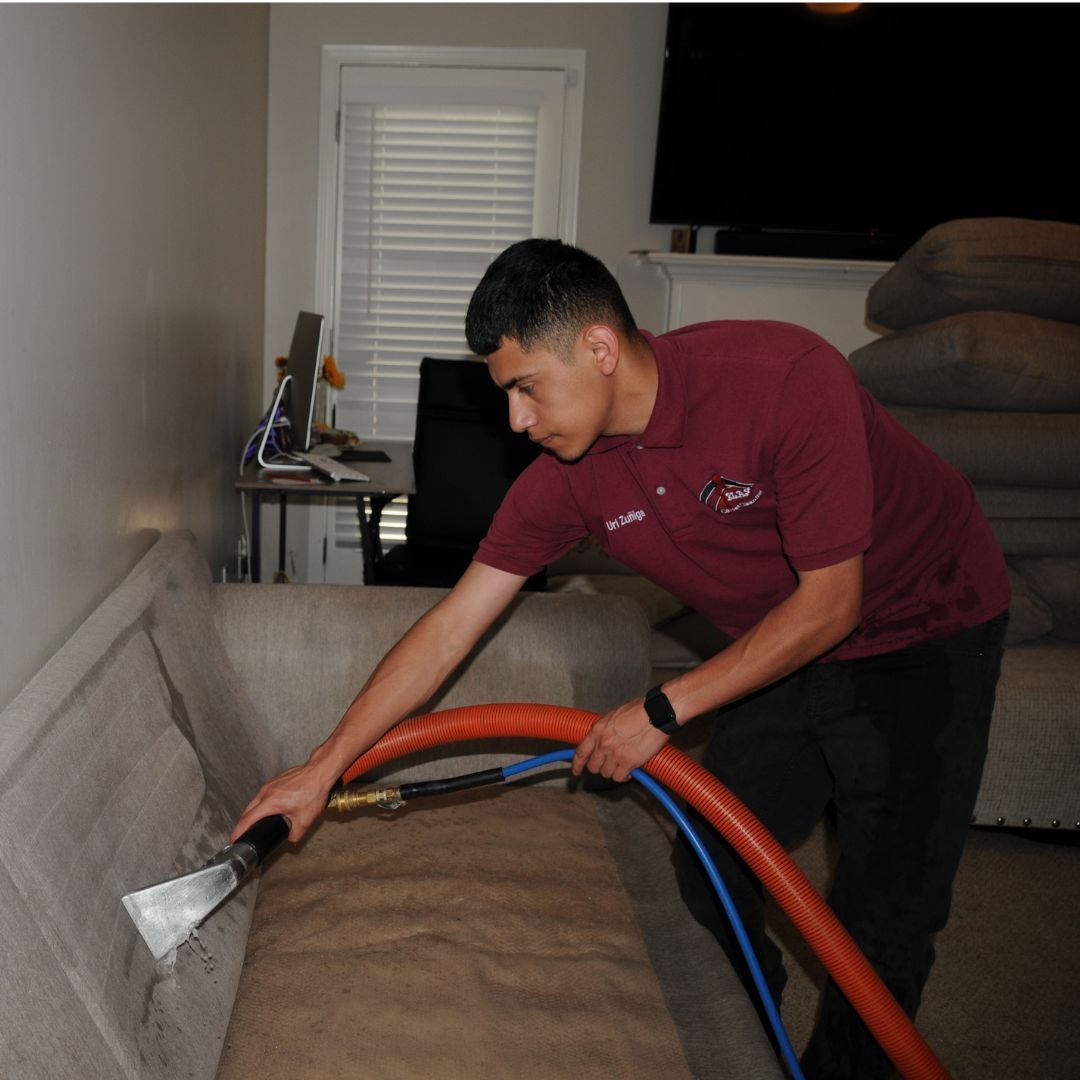 Professional furniture upholstery cleaning technician removing stains from sofa using the hot water extraction method.