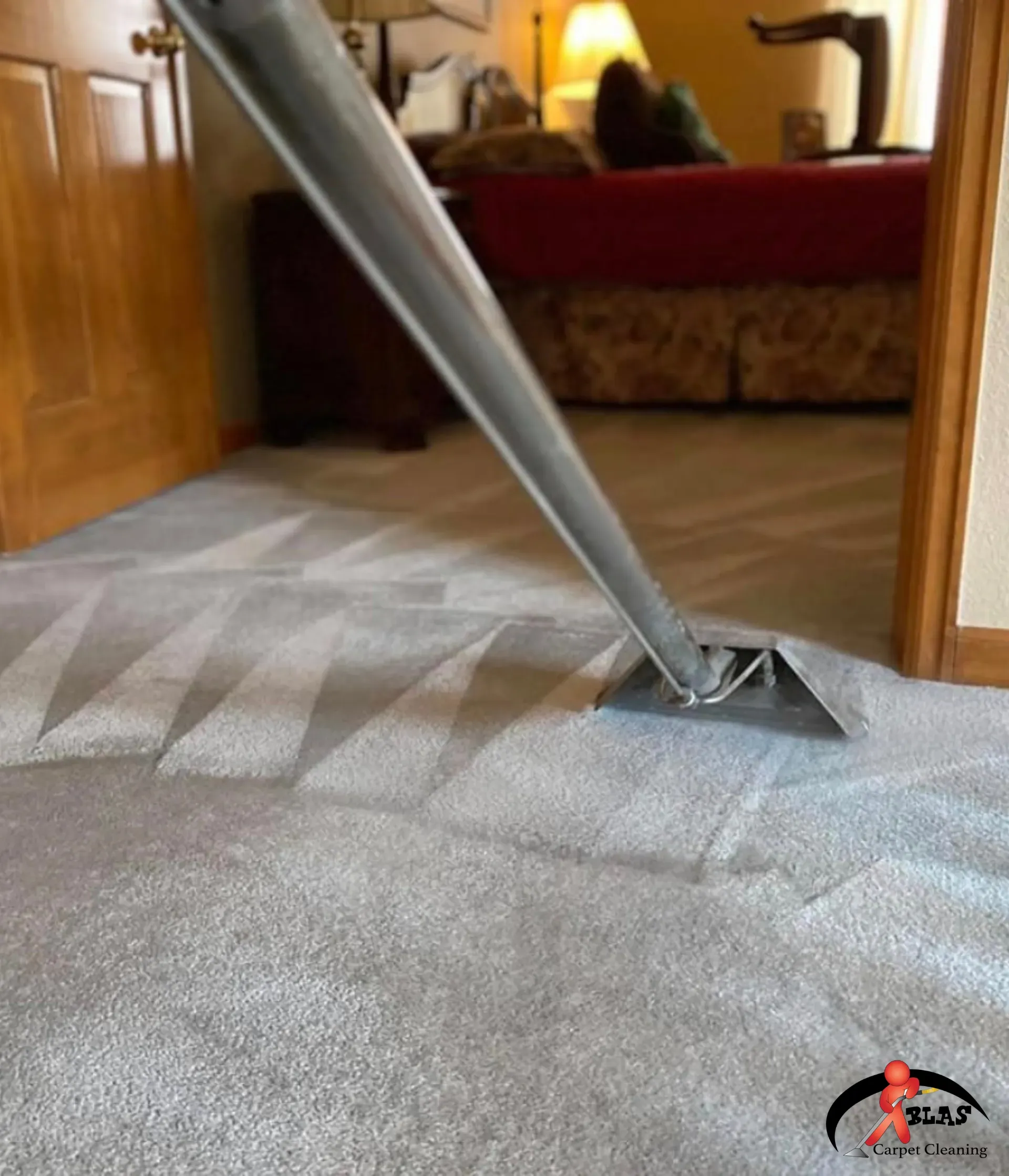 Professional carpet cleaning specialist removing stains from carpeting in Denver Colorado home.