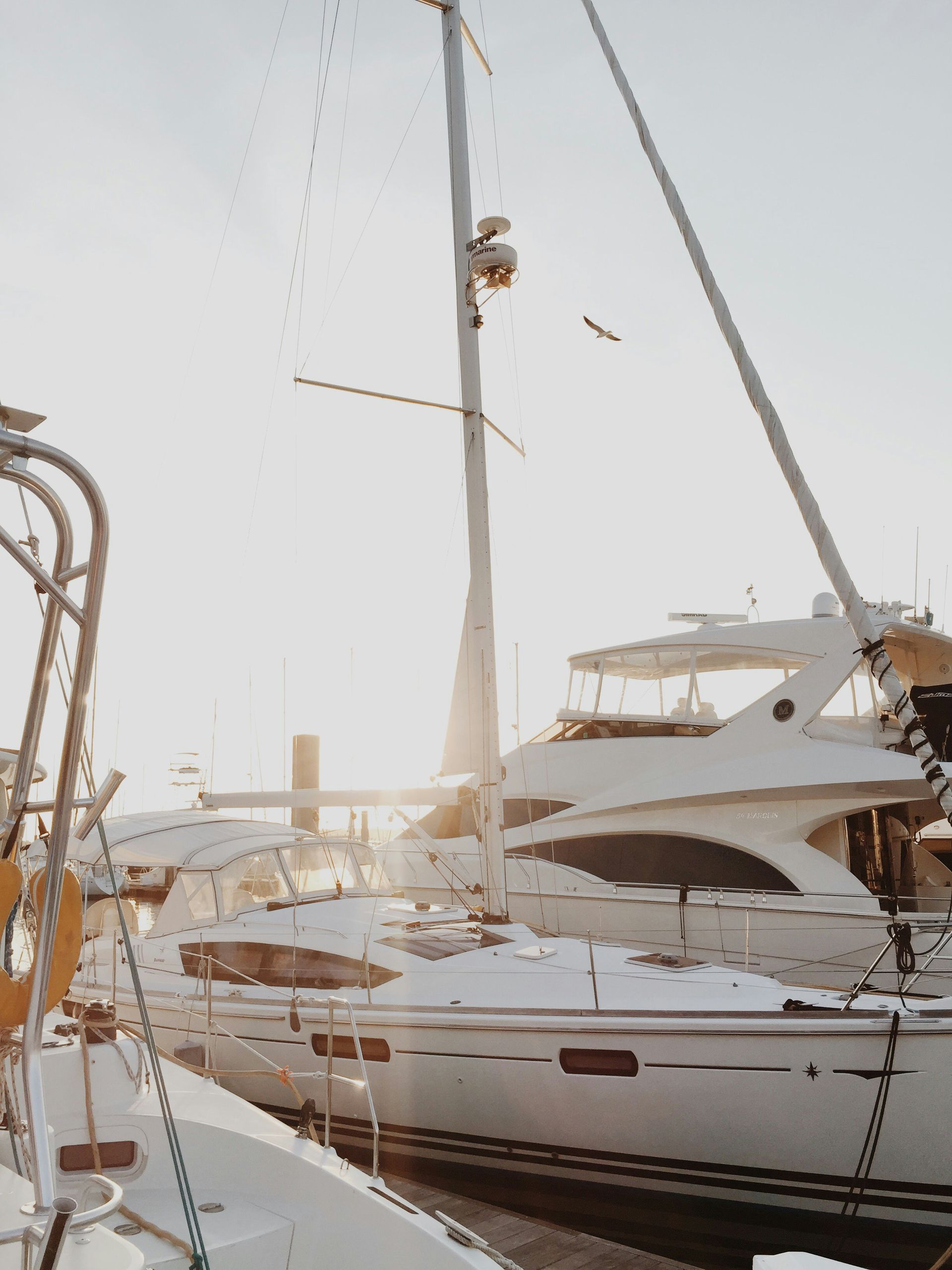 A row of white boats are docked in a marina