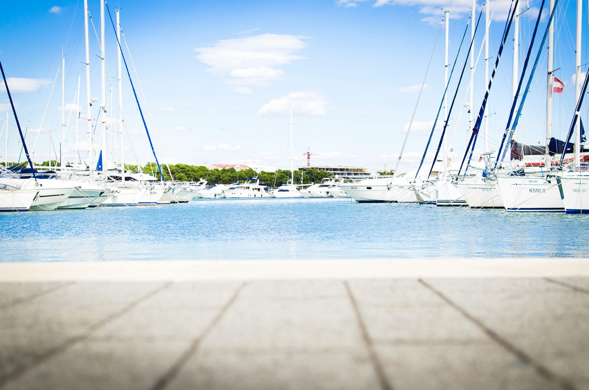 A row of sailboats are docked in a harbor.