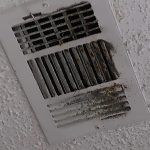 mold inspection services houston
