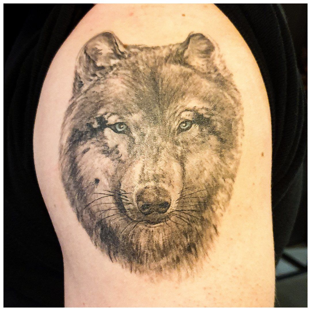 Een persoon heeft een tatoeage van een wolf op zijn arm