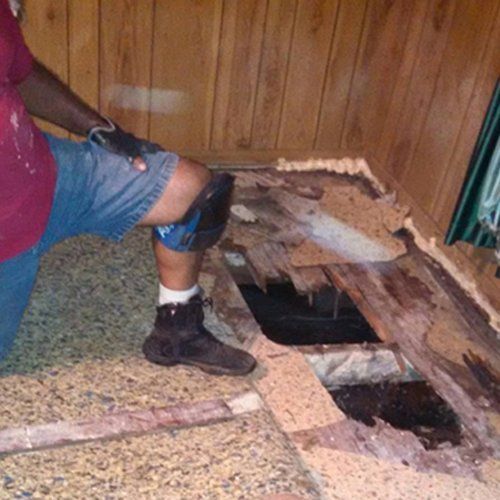 bad damage in home flooring