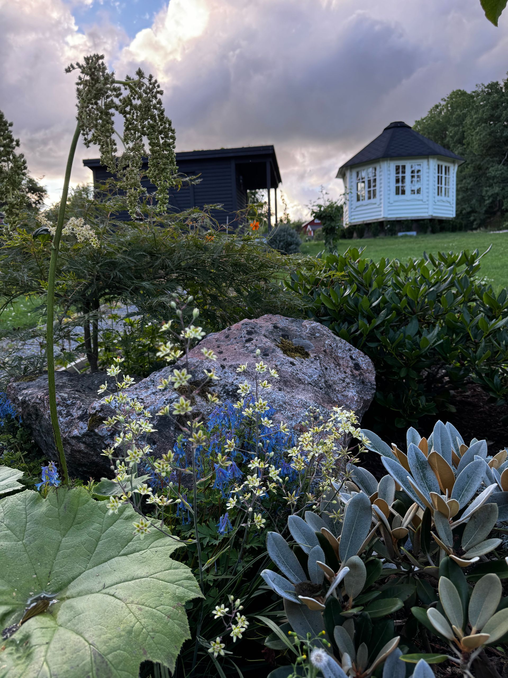 Färdig trädgård med långsiktig struktur och anpassat växtval Stockholm
