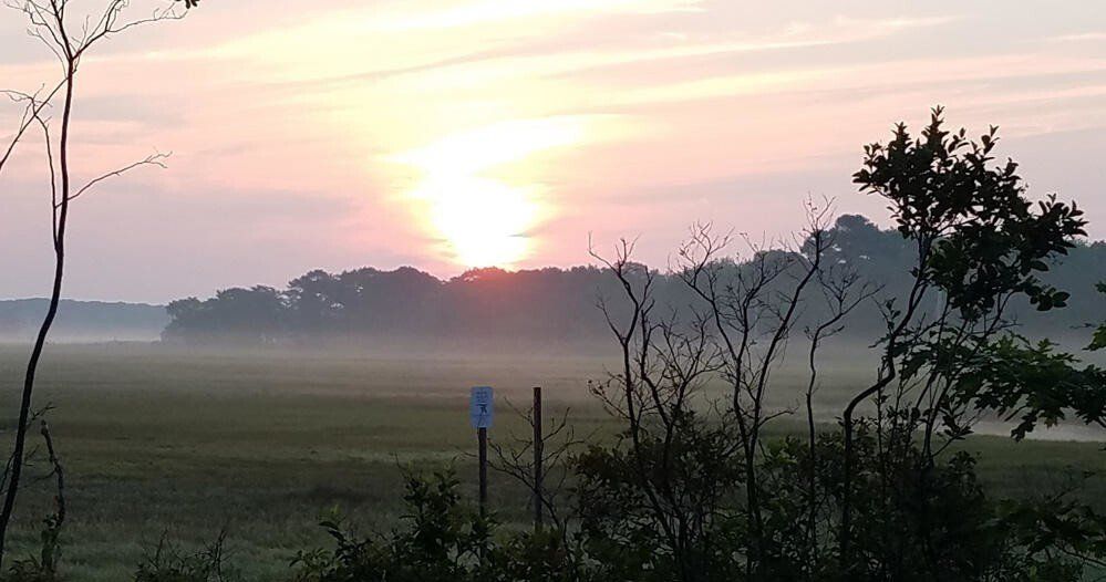 Group of people on red and orange kayaks