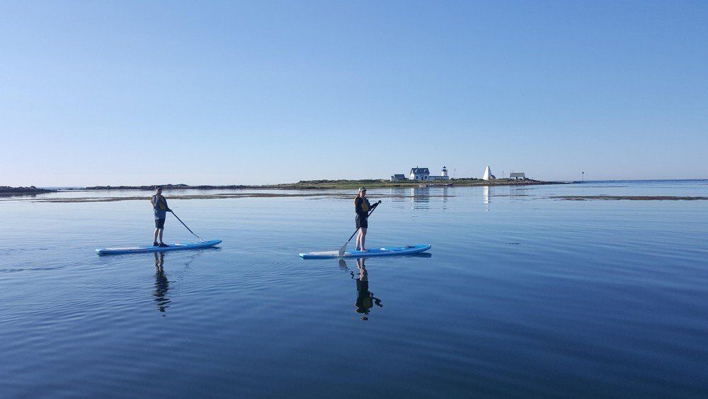 Two people on side view while on stand up paddle board