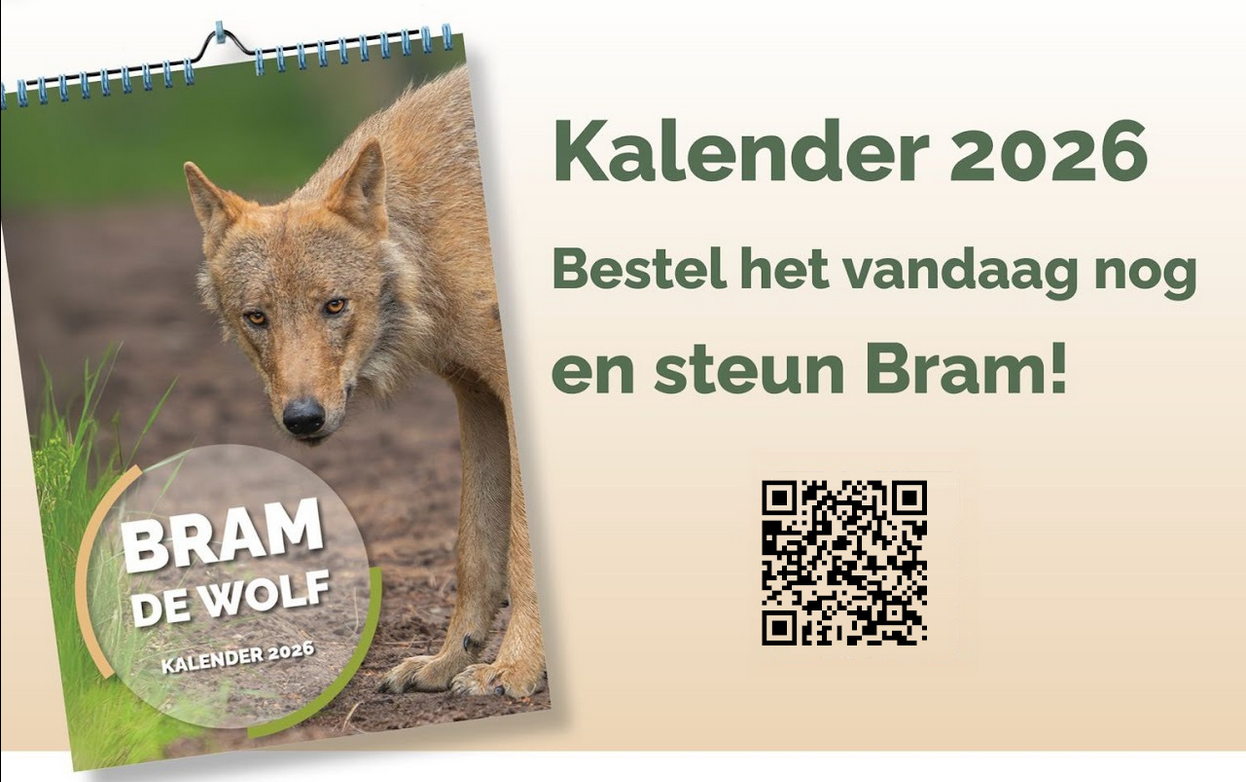 Unieke kalender 2026: Wolf 