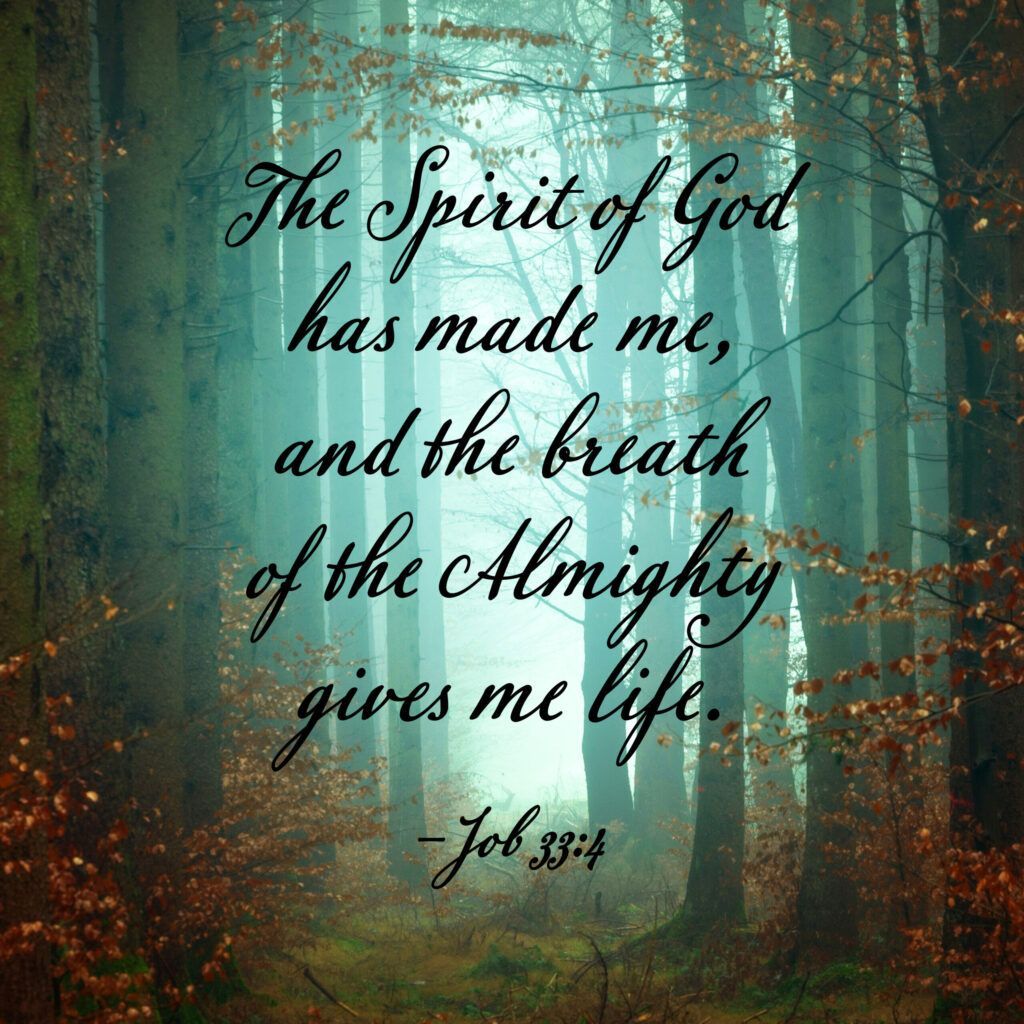 The spirit of god has made me and the breath of the almighty gives me life