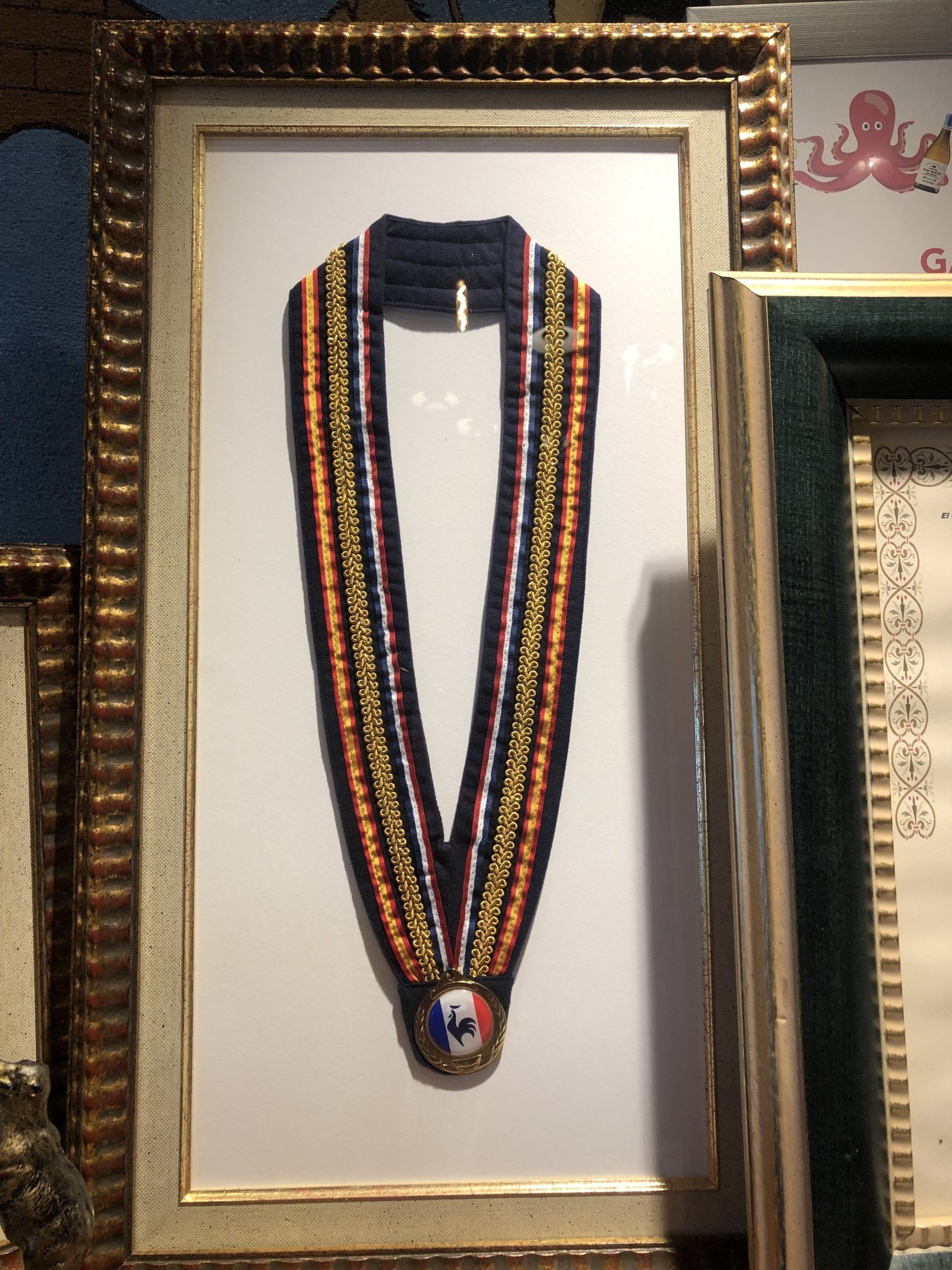 Una imagen enmarcada de una medalla con la letra v en ella.