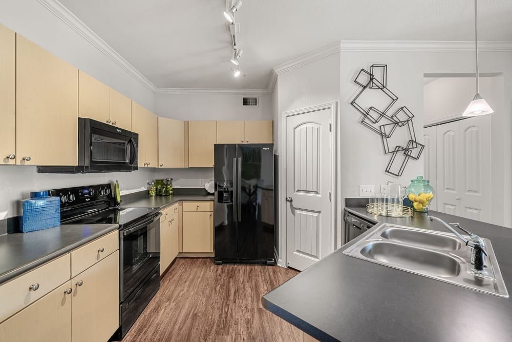 Modern kitchen interior with light wood cabinetry, black appliances, and dark countertops. Features include a refrigerator, microwave, oven, and dishwasher. A geometric wine rack adorns the wall, and a glass bowl with lemons adds a splash of color on the counter at Marquis at Canyon Ridge in Austin, TX.