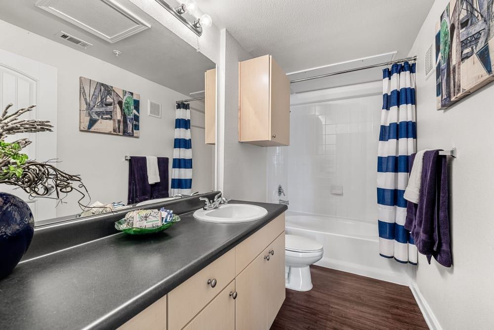 Modern bathroom interior with a nautical theme, featuring a black countertop with a white sink, wooden cabinets, a toilet, and a shower with a white and blue striped curtain. Decor includes a matching blue and white striped towel, a dark purple towel, nautical-themed wall art, and a decorative blue vase with dried branches on the counter at Marquis at Canyon Ridge in Austin, TX.