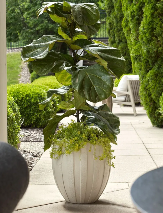 Uttermost home decor at Perrino Home Furnishings.