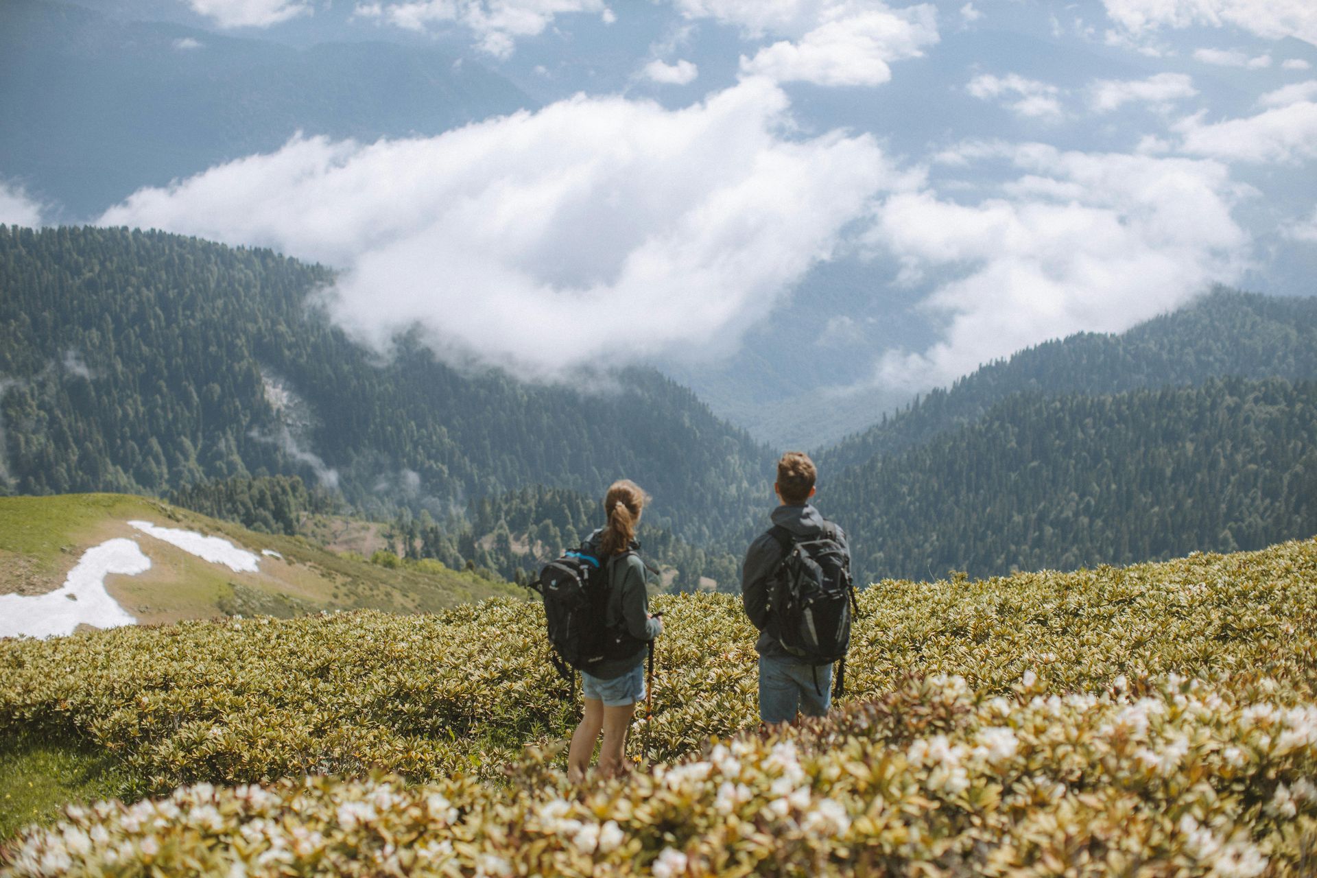 Two hikers stand on a grassy, flower-covered mountain ridge looking out over a forested valley filled with clouds.
