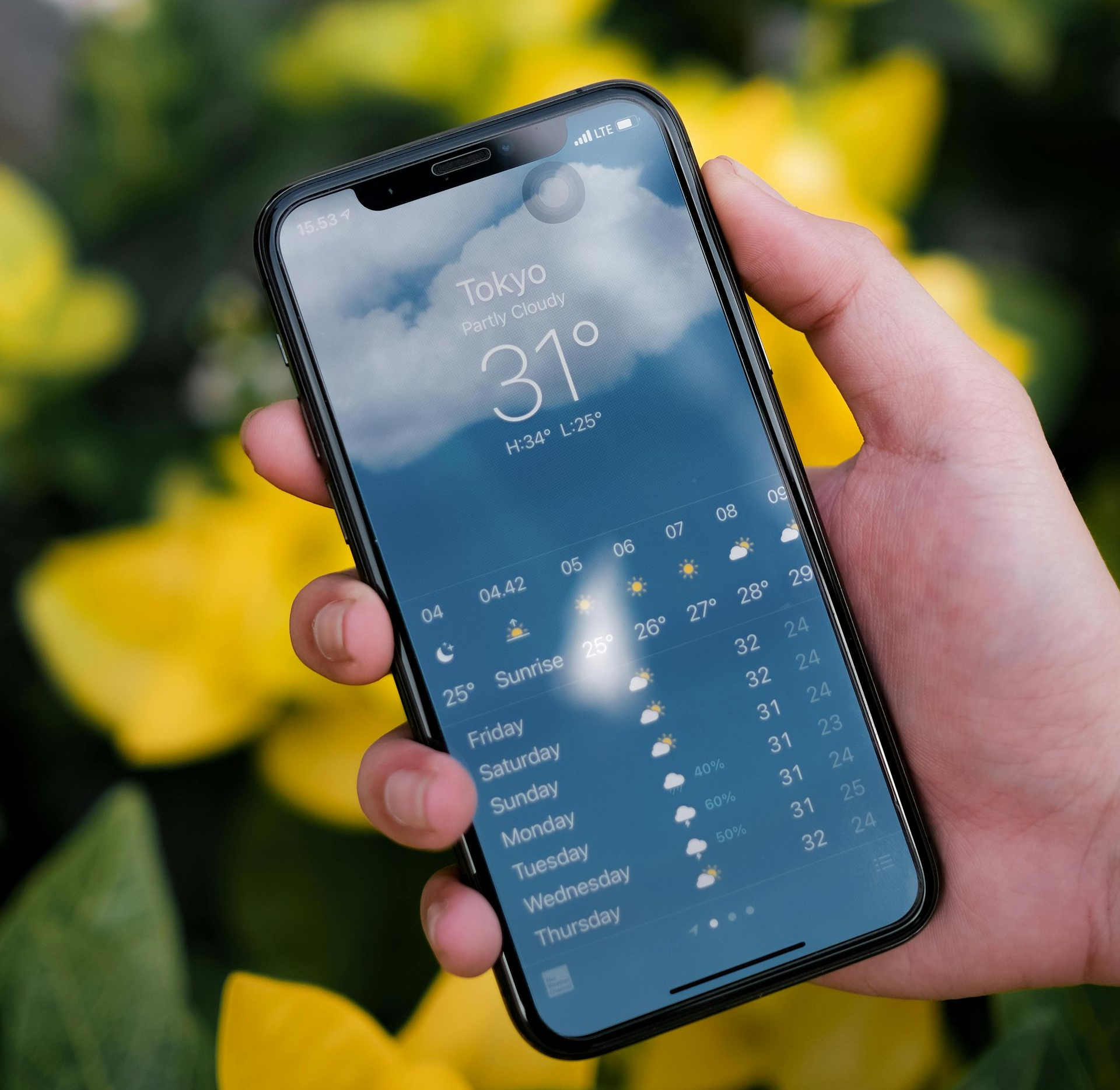 A hand holds a smartphone displaying a weather app showing a temperature of 31 degrees in Tokyo against a floral background.