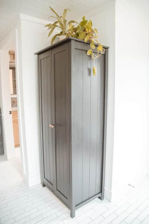 A gray cabinet with a plant on top of it in a room.