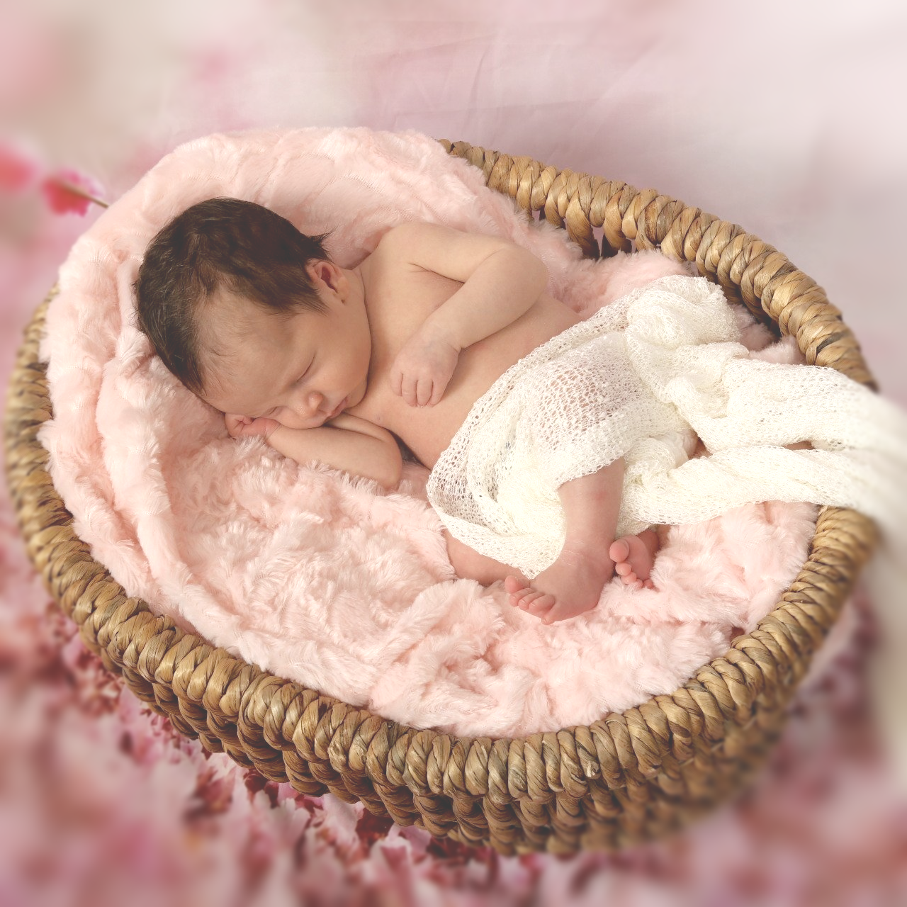 kadobon newborn shoot