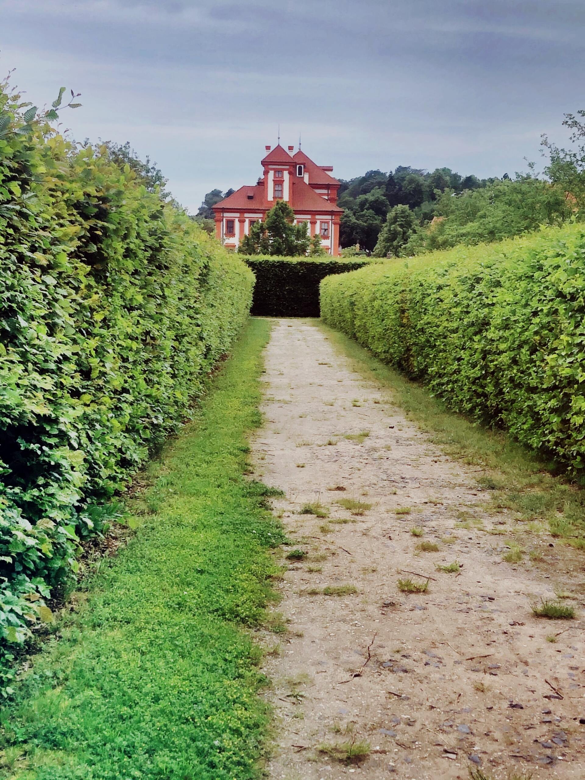 This is a picture of one of the hedges we maintain in Leicestershire by using our Hedge Cutting and maintenance services