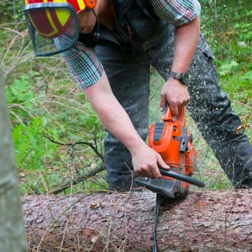 This is a picture of one of our team at Leicester Tree Surgeons logging with a chain saw after a recent tree felling job