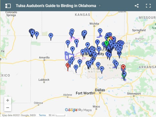 Guide to Birding in Oklahoma