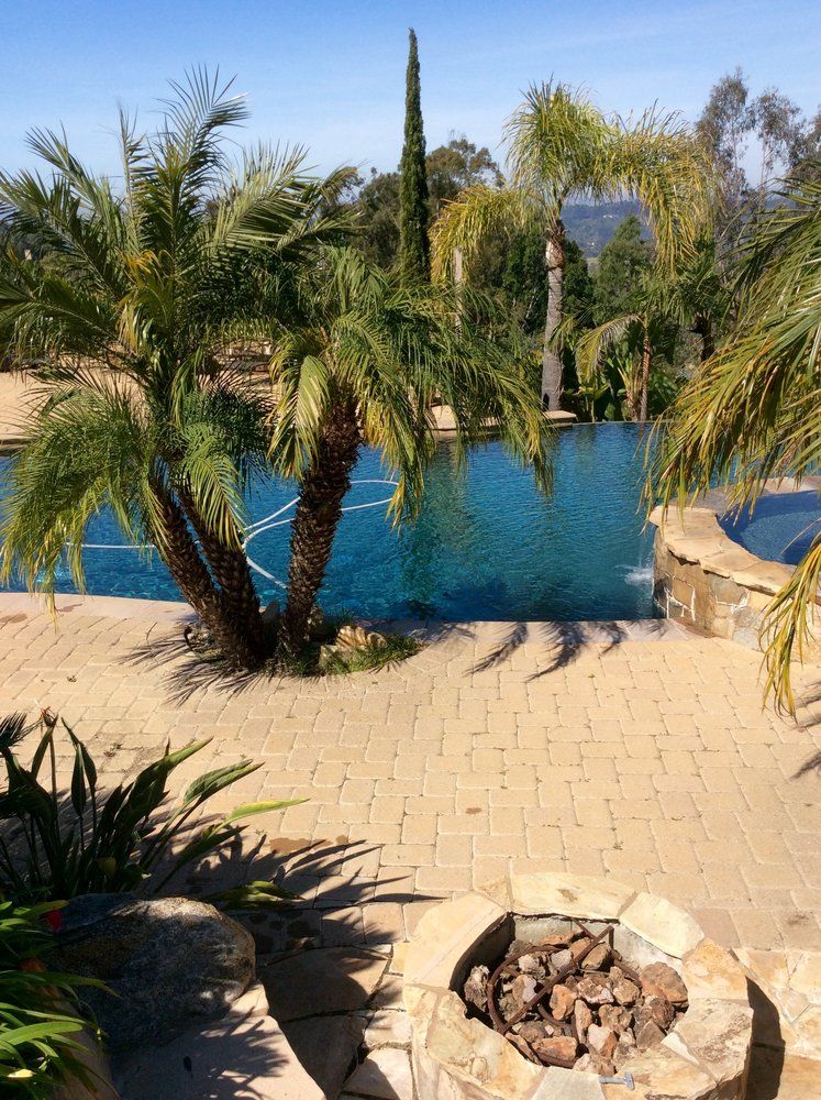 A swimming pool surrounded by palm trees and a fire pit.
