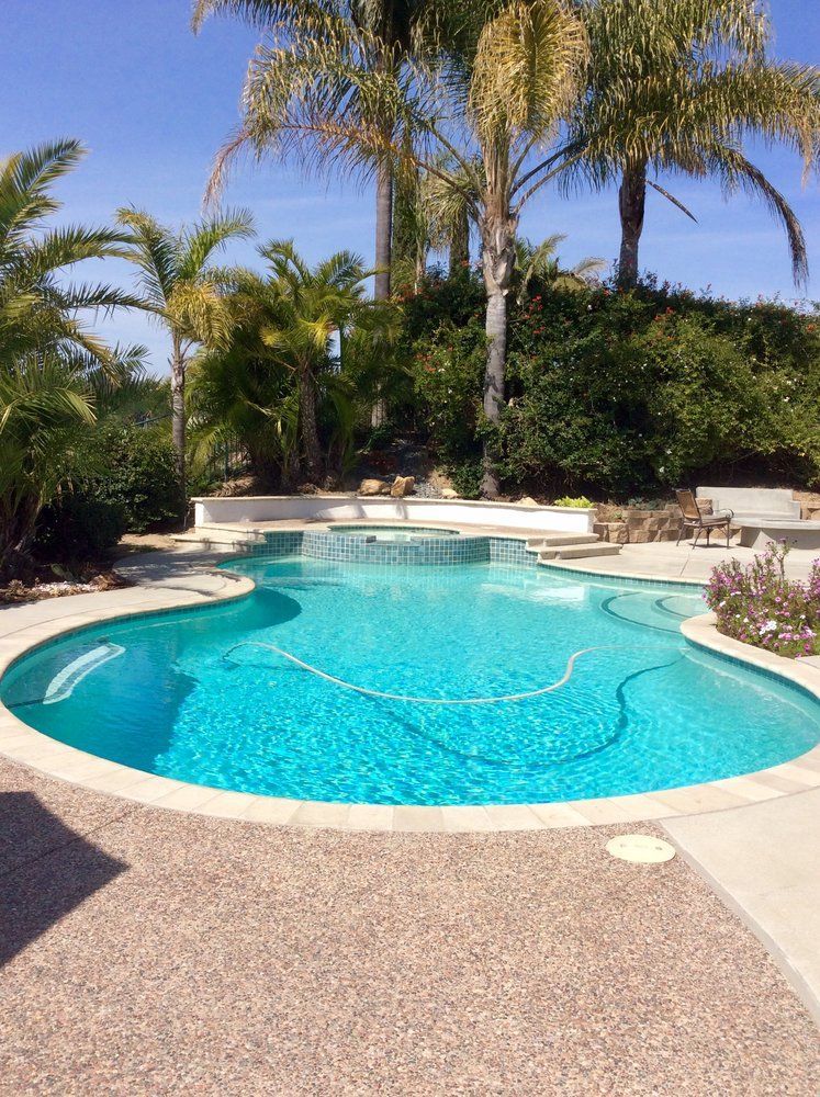 A large swimming pool surrounded by palm trees on a sunny day.