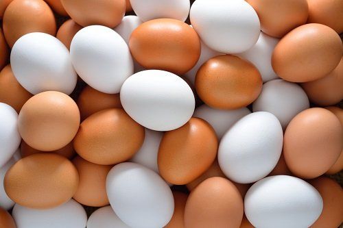 uova di gallina