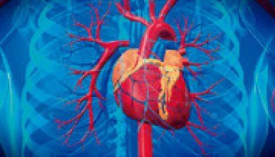 CARDIOVASCULAR HEMODINAMIA