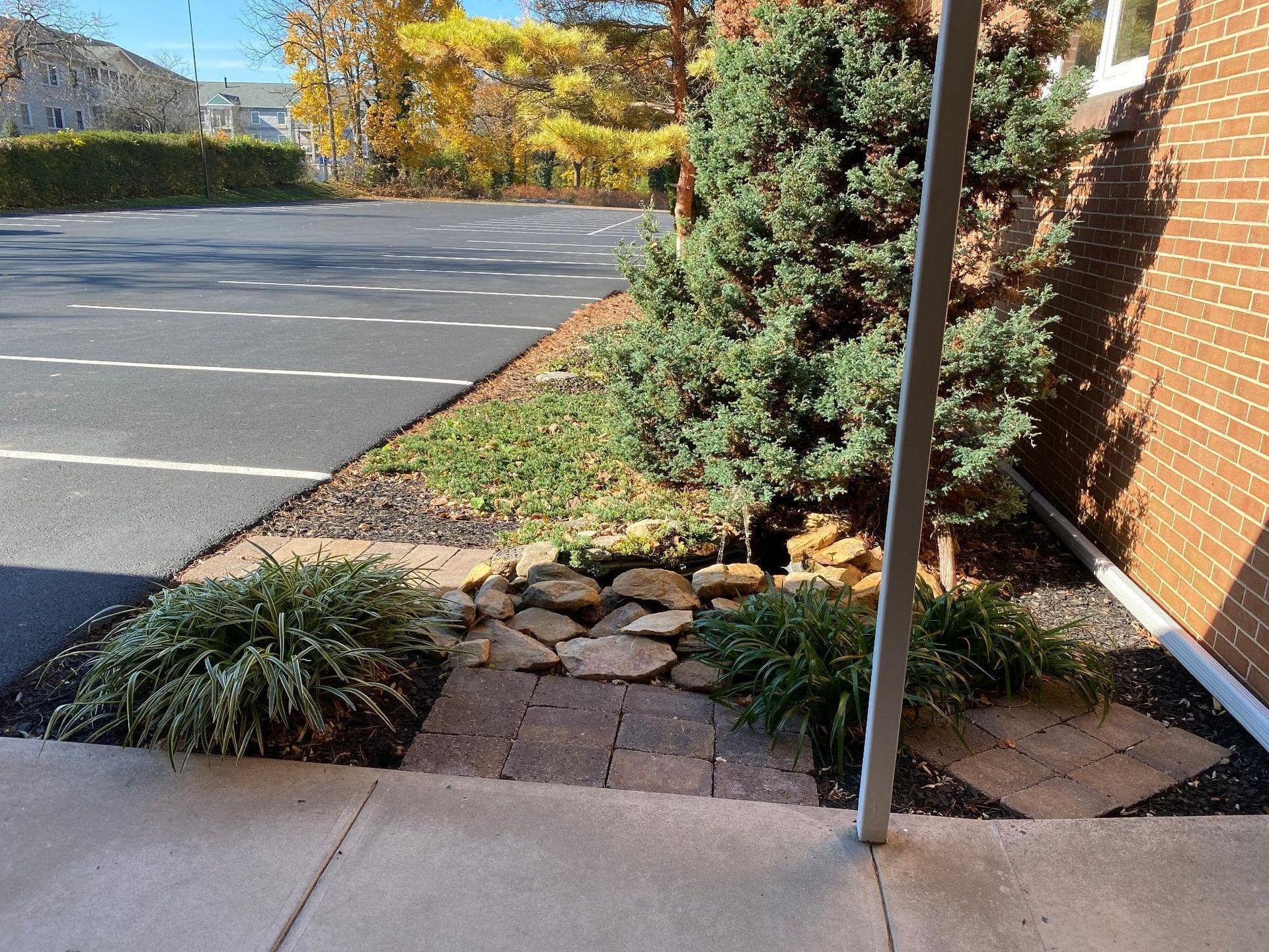 Landscaped bed with pathway, near parking lot and brick building. Green plants, rocks, and mulch.