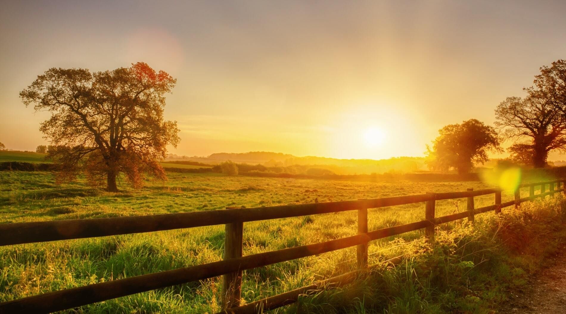 Sunset over a green field with a wooden fence and trees, bathed in golden light.