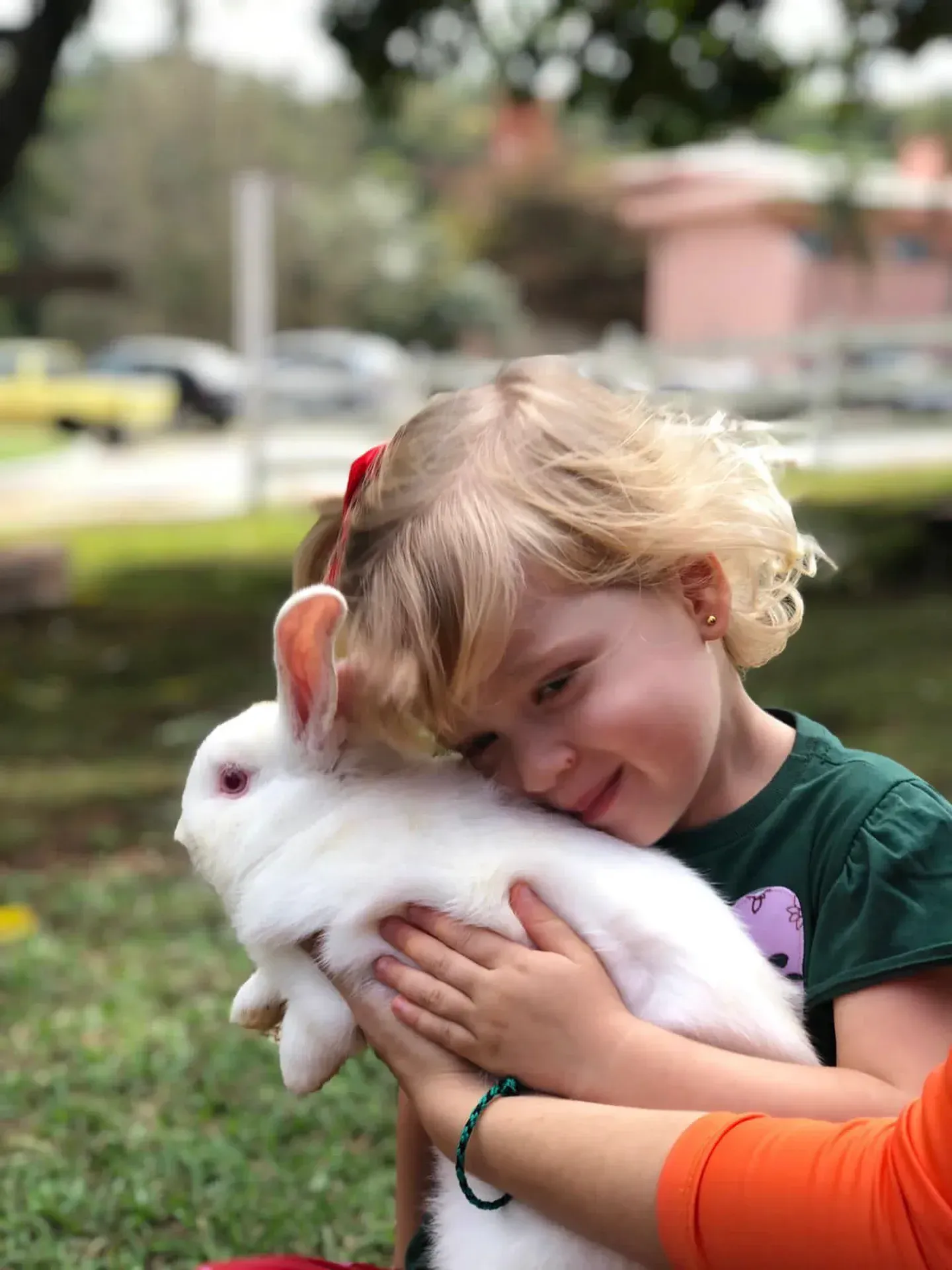uma menina está segurando um coelho branco nos braços.