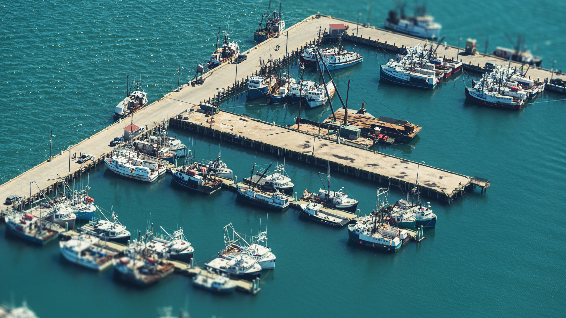 Port Digby Harbour Chariman's Message