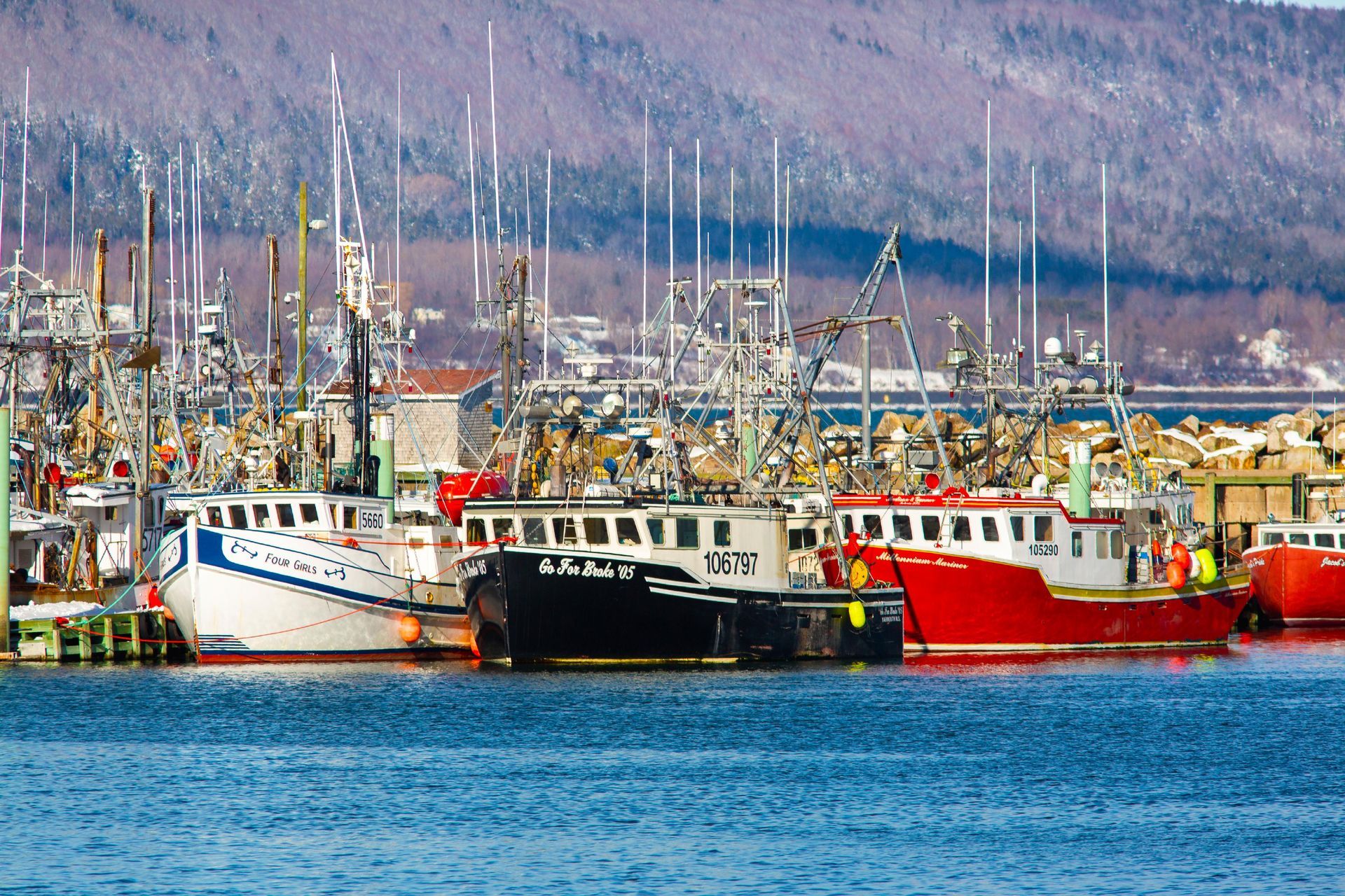 Digby Harbour fishing boats