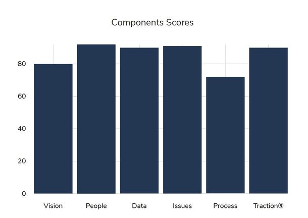 Bar graph showing component scores. People, Data, Issues, and Traction scores are high. Vision and Process scores are lower.