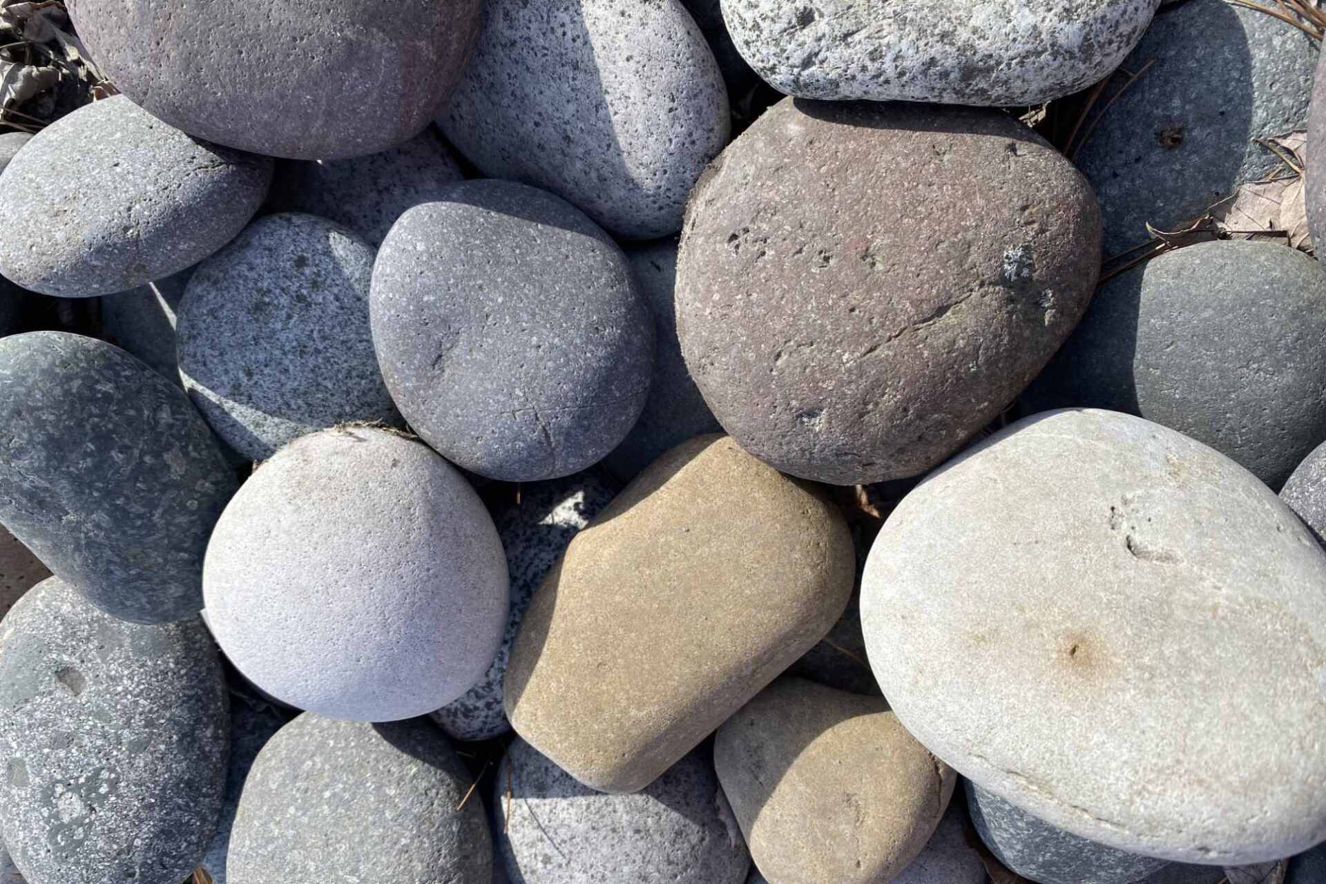 Multi Colored Beach Pebbles