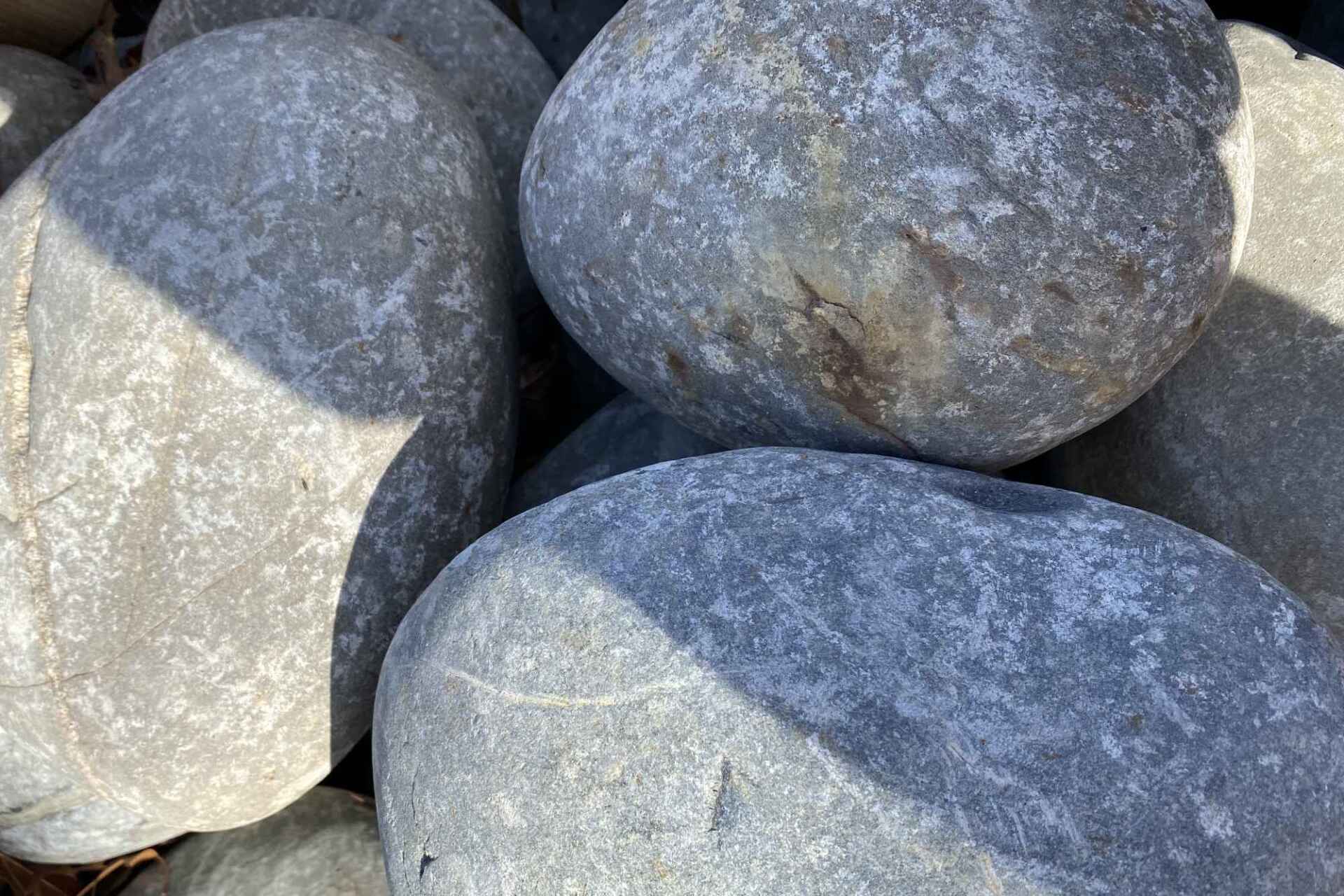 Nile Grey Dinosaur Eggs