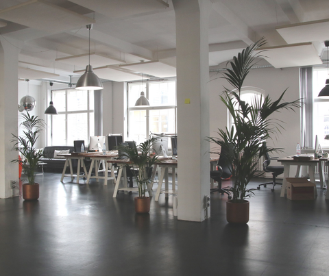 Bright open office with desks, hanging lights, and potted plants on a polished floor