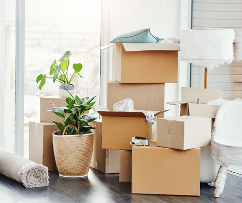 Cardboard moving boxes stacked in a bright room beside a potted plant and rolled rug