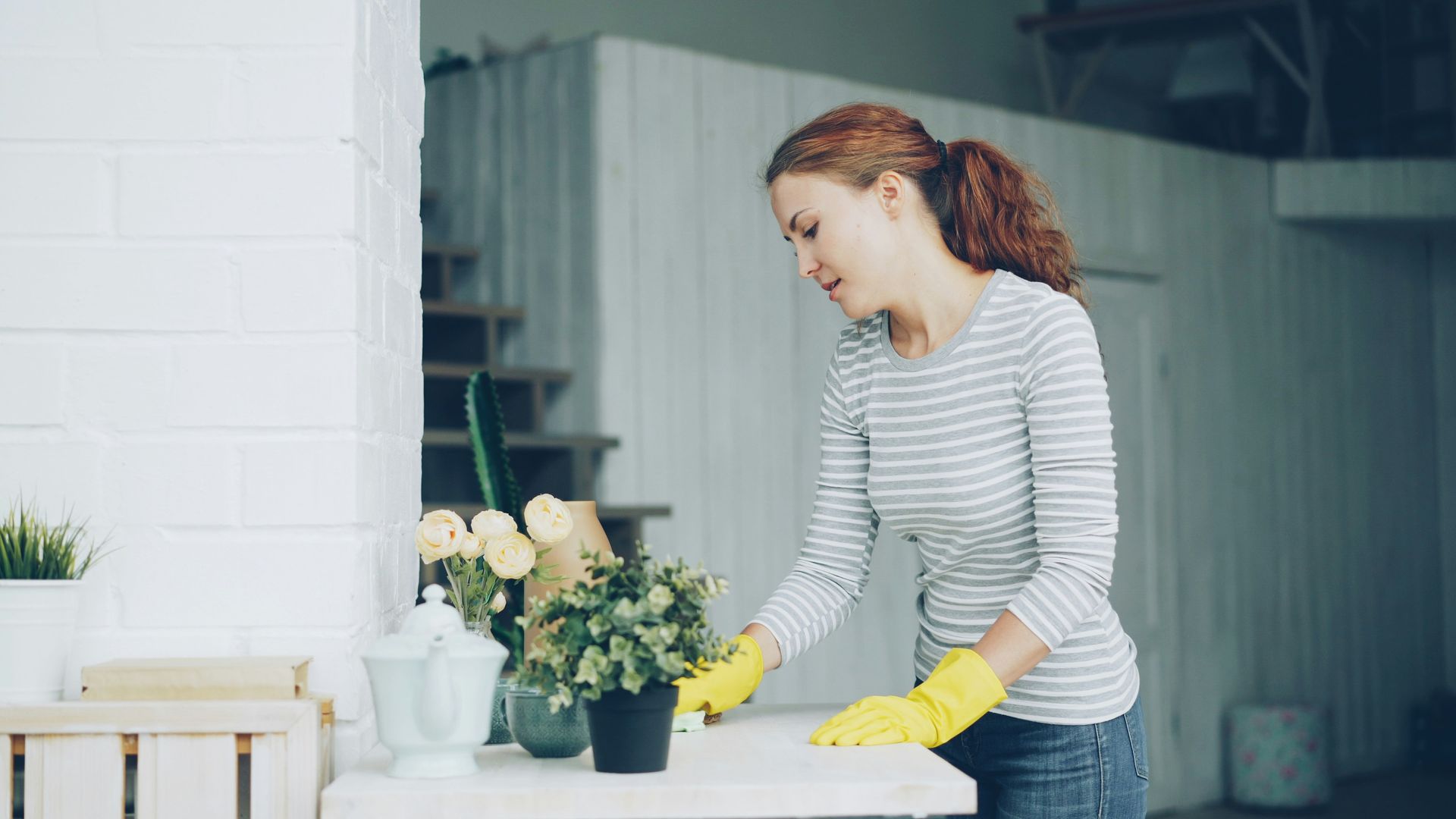 Woman in striped shirt and gloves dusts a table with flowers.