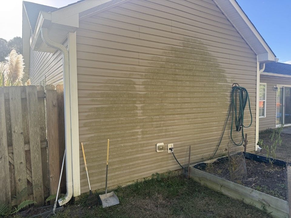 Tan house siding with green algae, next to a wooden fence and garden.