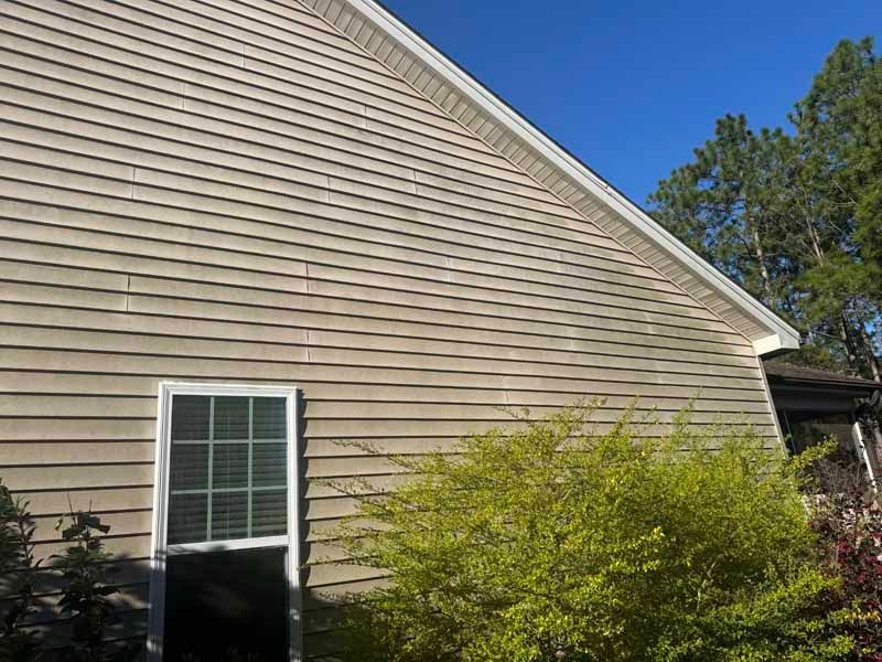 Tan siding on a house with a window, surrounded by green foliage, under a blue sky.
