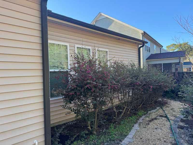 Side of a beige house with three windows and bushes in front, blue sky.