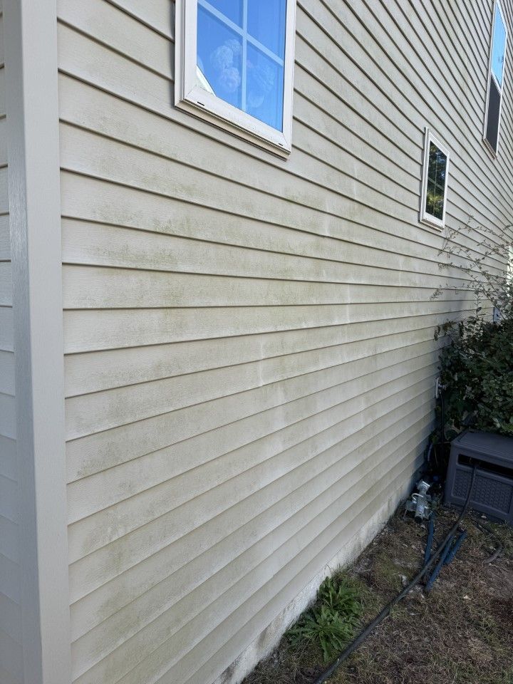 Light-colored siding on a house shows mildew and dirt, near windows and landscaping.